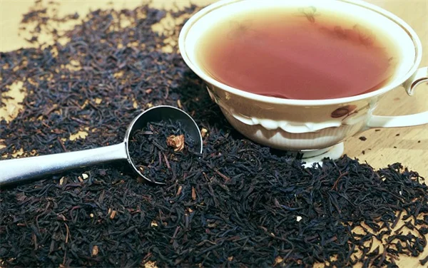 7月に植える野菜8選！秋収穫を成功させる栽培のコツ