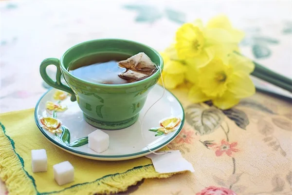 冬の庭仕事で春の花を倍増する5つの方法