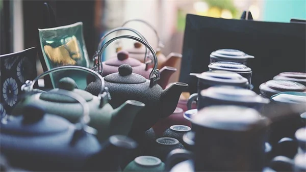 ココナッツの殻で作る吊り下げプランターの簡単DIY