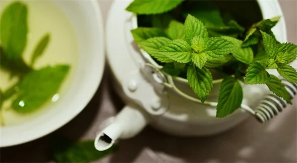 外来植物の侵略を防ぐ正しい駆除方法とは?ガーデナーが実体験で語る